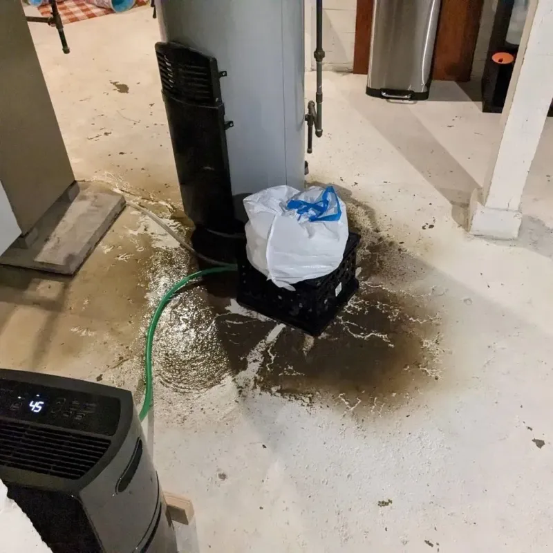 Sewage Backup Cleanup Service in Pearl River County, MS